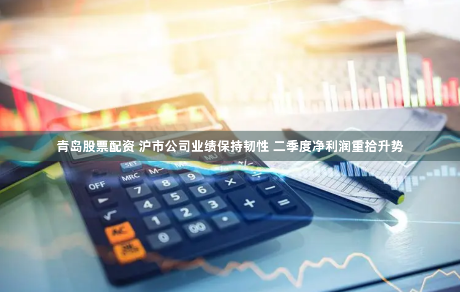 青岛股票配资 沪市公司业绩保持韧性 二季度净利润重拾升势