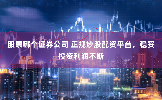 股票哪个证券公司 正规炒股配资平台，稳妥投资利润不断