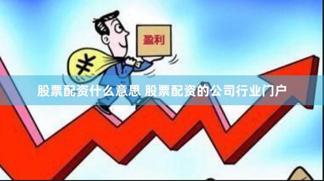 股票配资什么意思 股票配资的公司行业门户
