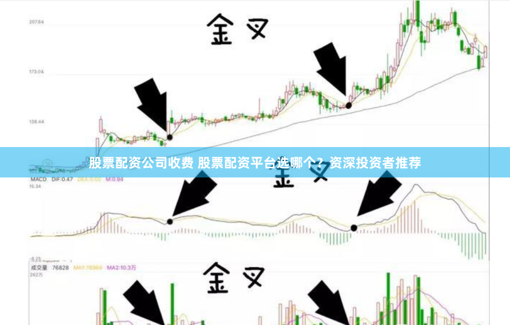 股票配资公司收费 股票配资平台选哪个？资深投资者推荐
